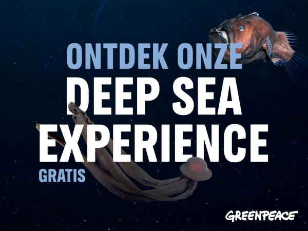 Deep Sea Experience - Greenpeace