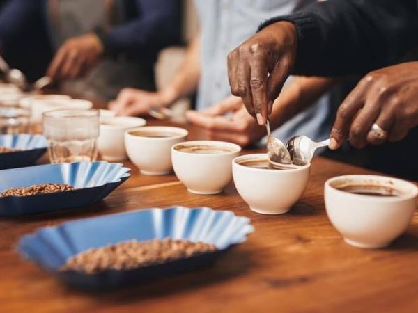 Workshop Coffee Cupping