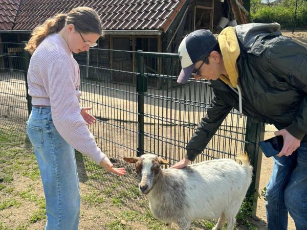 Boerderij + boerderij spel