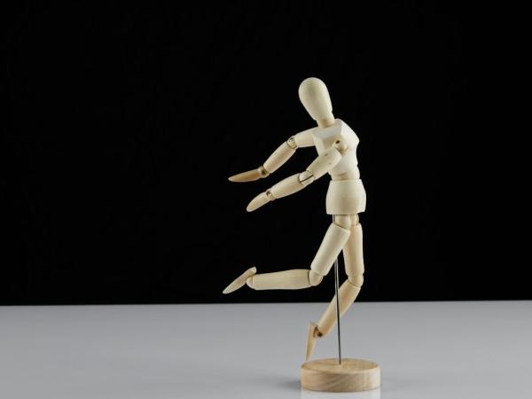 Hoe zit het menselijk lichaam in elkaar?