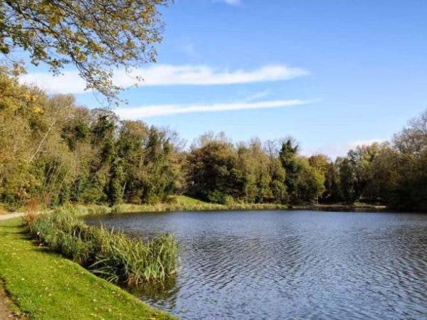 Natuurwandeling in 't Bosje