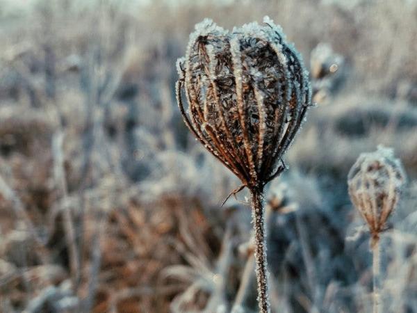 Werkmoment Voedselbos Oostende