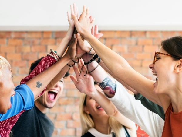 Wow Workshop: Fata Morgana