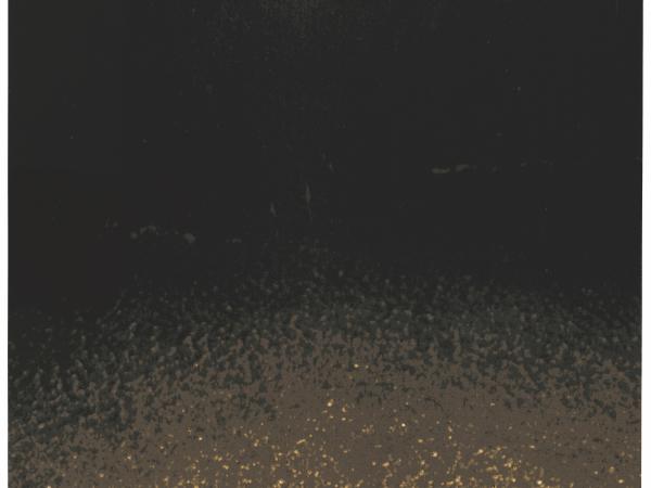 LABO Jongeren (15-35 jarigen) : De nacht en de zee met Luc Tuymans