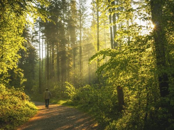 Natuur op doktersvoorschrift