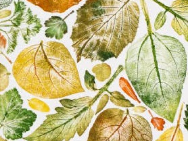 Workshop 'nature print'