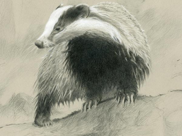 Expo Christof Simons: Sporen van grafiet