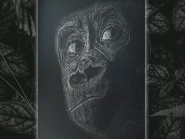 Exposition - Stefaan Van Cleven