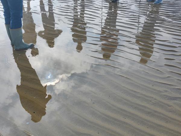 Strand en duinenwandeling 'Sea/See the change (3 km) -  gratis mits inschrijving