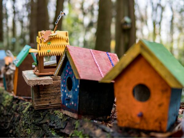 LABO 4-5 jarigen : Vogel(t)huisje : van verhaal naar bouwen met kunstige nestmaterialen