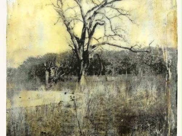 LABO Volwassenen : Gekleurde bister met Matthieu Lobelle