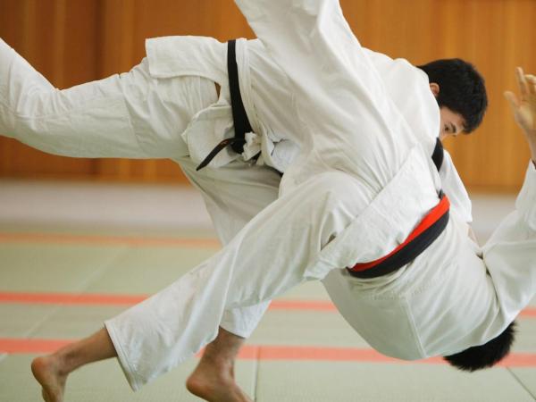 Luistervinken: Op de tatami met Jean-Marie