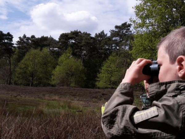 Dagtocht dieren spotten
