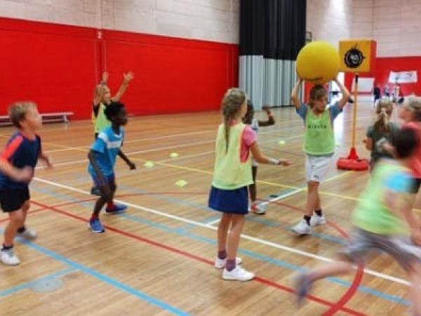 Ball mania