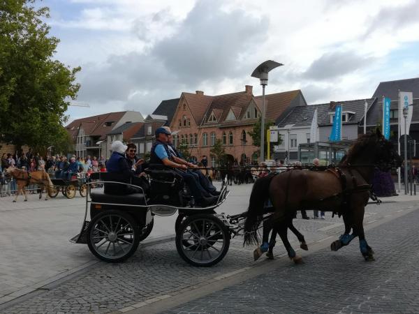 37ste Paardenzegening en koetswandeling
