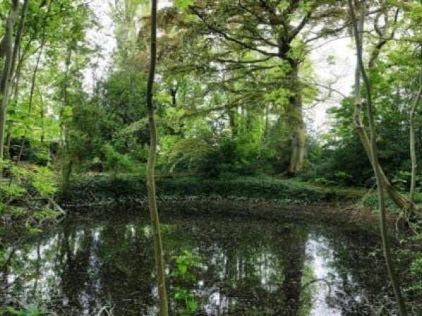 Het dokter Egide Defeverpark en zijn fauna en flora