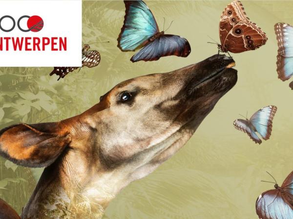 Zoo van Antwerpen