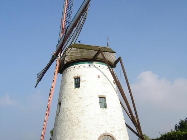 Open Molendag - preview restauratie Witte Molen