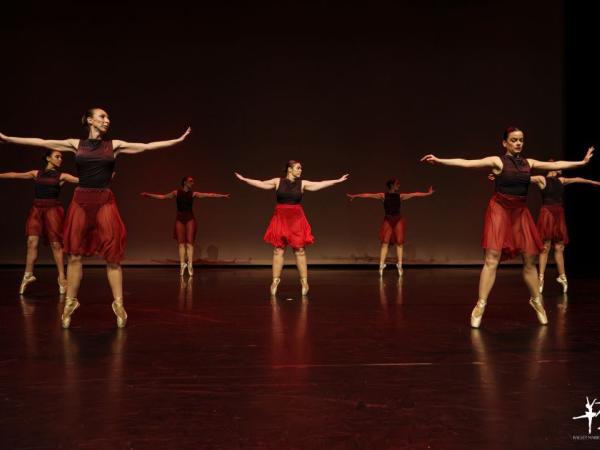 Pointes 15+