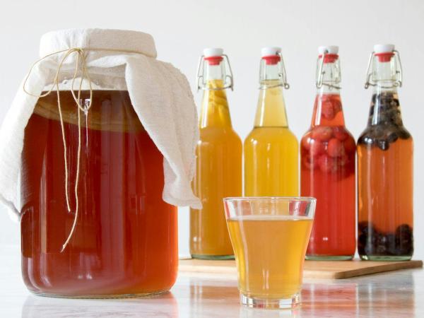 Kombucha brouwen voor beginners