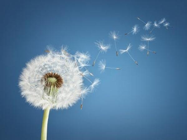 Mantelzorgcafé 'levend verlies'