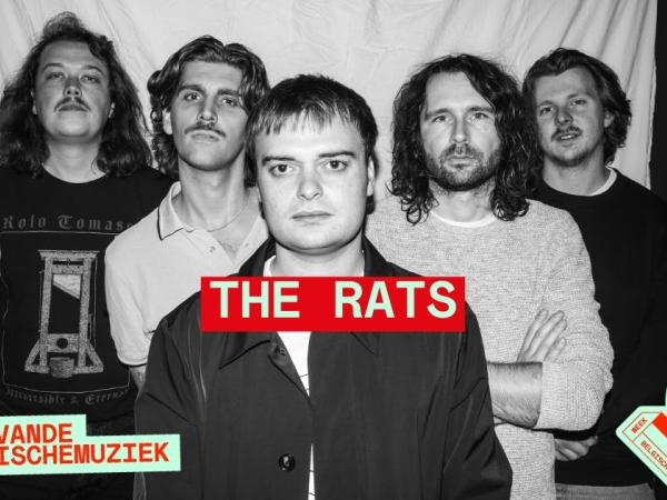 The Rats | Week Van De Belgische Muziek | Ostend Concerts