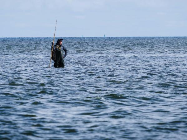 Sounding Lines (Wading Version) - Stijn Demeulenaere