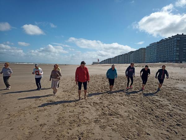 Wandel je fit